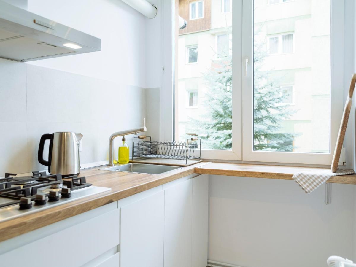 Cozy Central Apartment Near The Forest Braşov Eksteriør billede