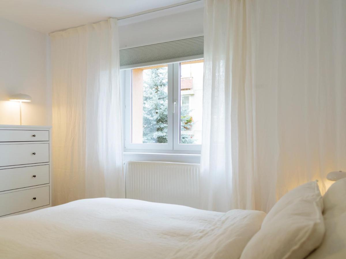Cozy Central Apartment Near The Forest Braşov Eksteriør billede