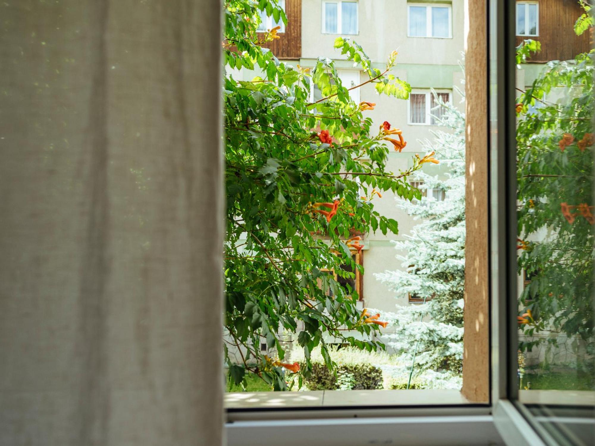 Cozy Central Apartment Near The Forest Braşov Eksteriør billede