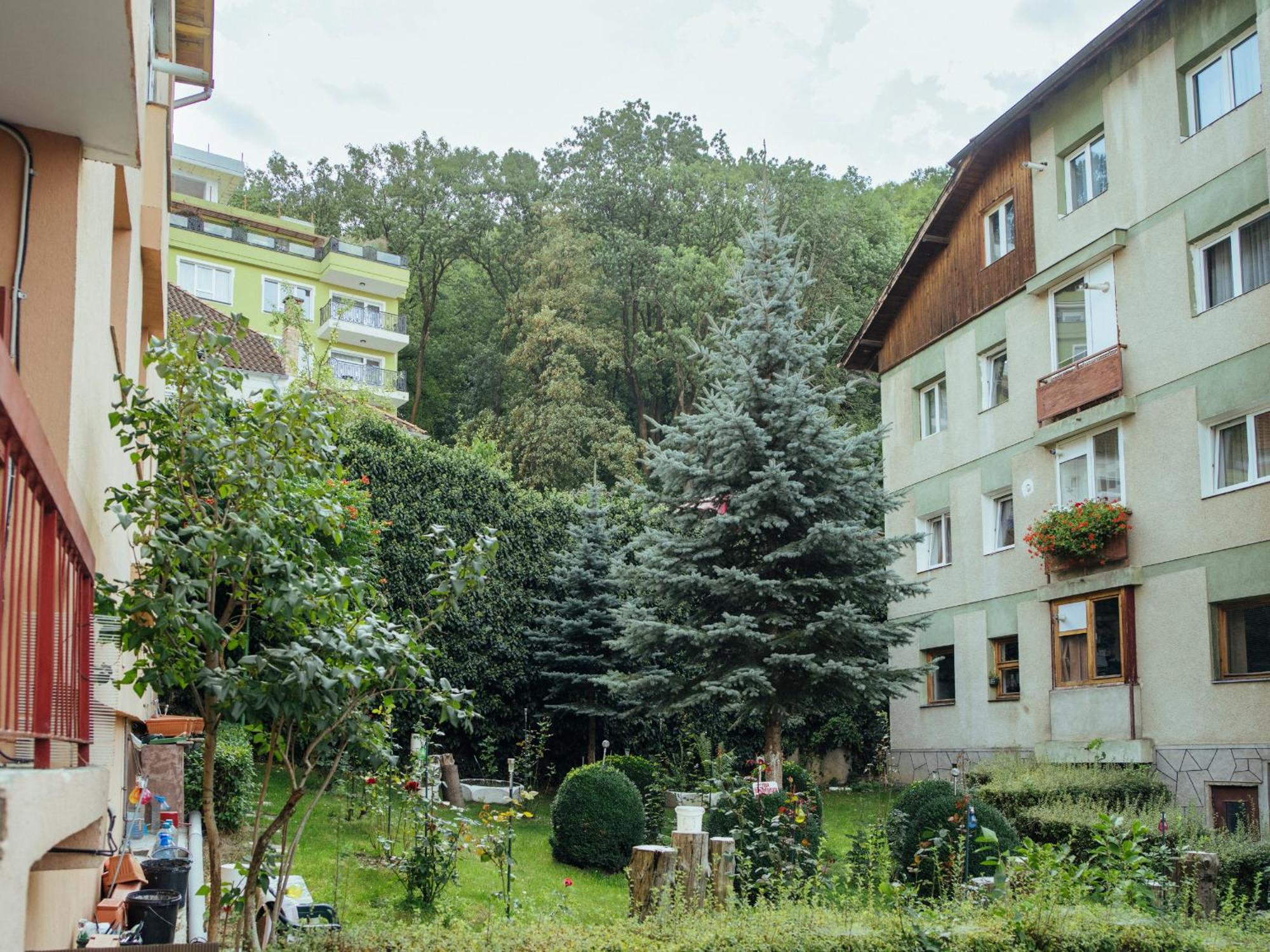 Cozy Central Apartment Near The Forest Braşov Eksteriør billede
